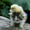 milky_way_111
