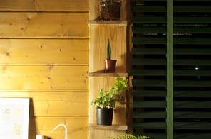 植物ラック
