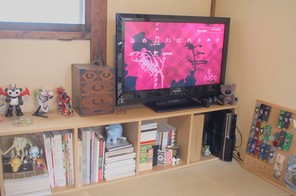 テレビがきたぞー