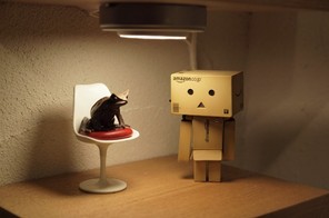 ダンボー