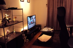 部屋の全体