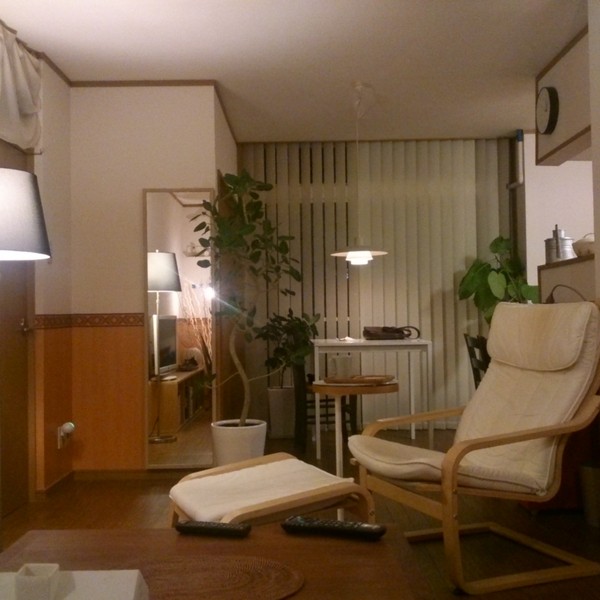観葉植物!