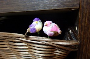 籠の隅に、２羽