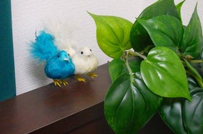 ベッドの端に、２羽