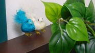 ベッドの端に、２羽