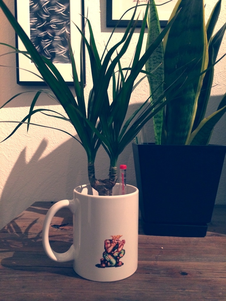 植物③